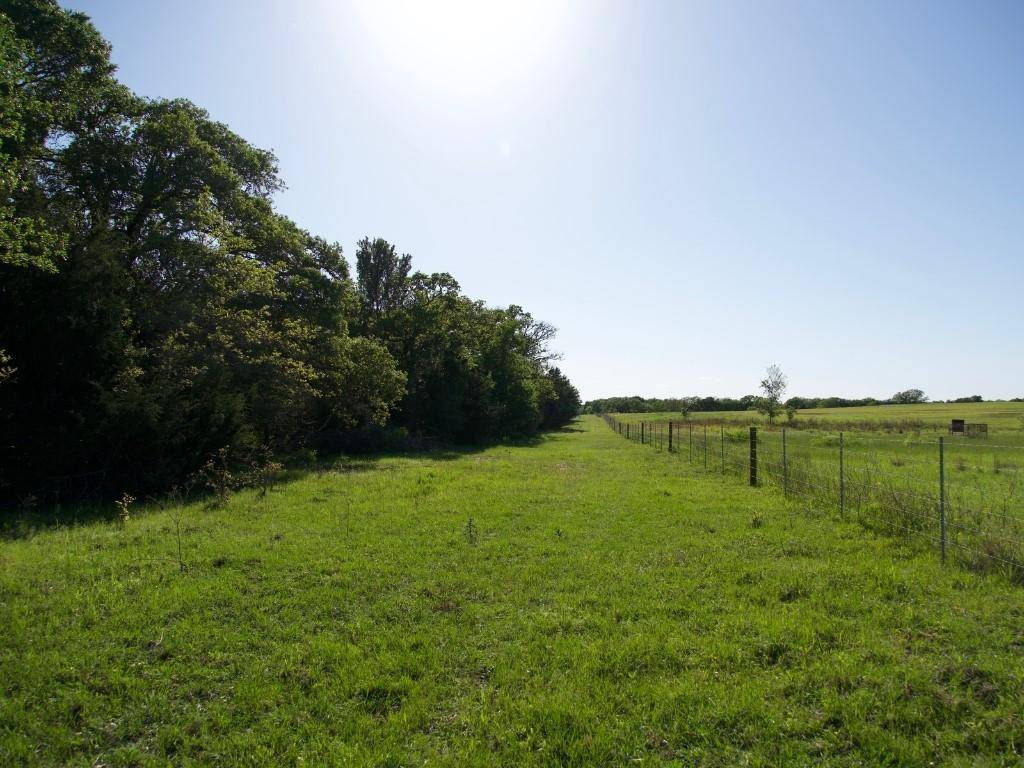 Paige, TX 78659,TBD Tract 8 St Delight RD