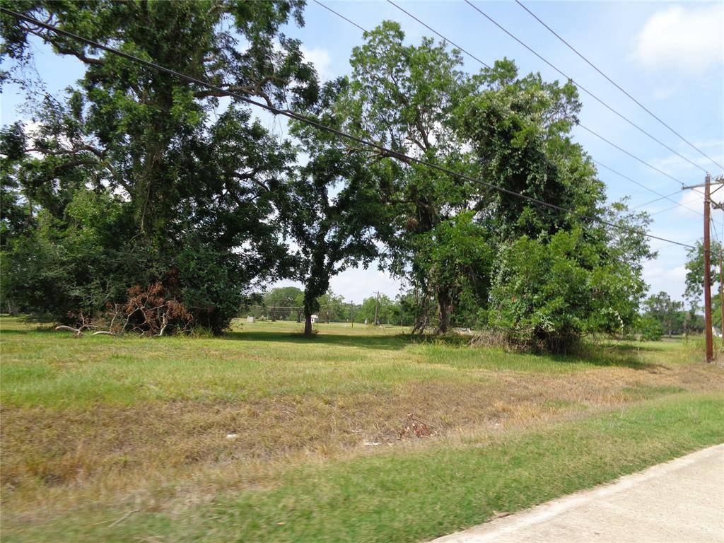 Angleton, TX 77515,1109 Saddle Horn BND