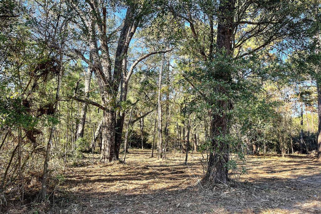 Huntsville, TX 77340,11.46 Ac FM 2296