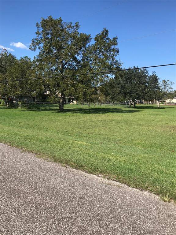 Manvel, TX 77578,0000 Cory County Road 544A