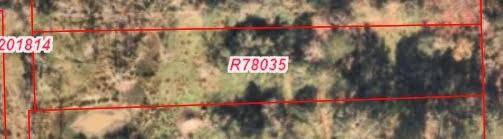 Fresno, TX 77545,0 Dusty RD