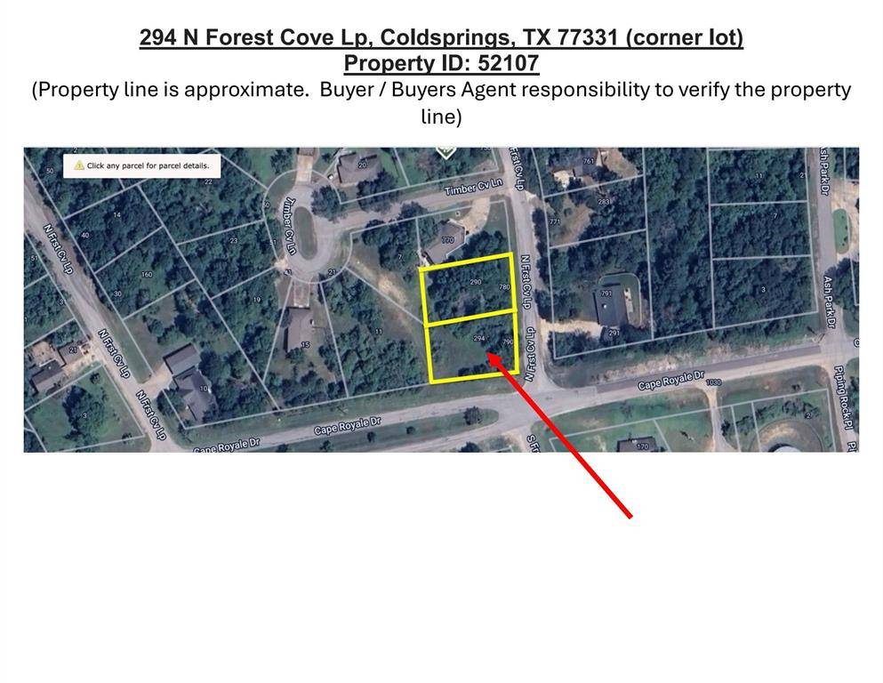 Coldspring, TX 77331,294 N Forest Cove LOOP