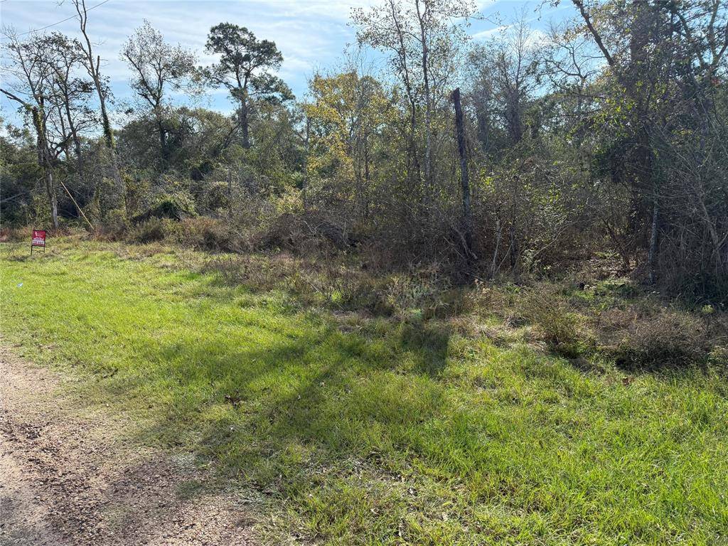 Hempstead, TX 77445,Lot 2 Block 53