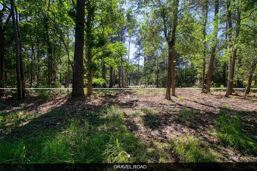 Montgomery, TX 77356,TBD LOT 60 Chestnut DR