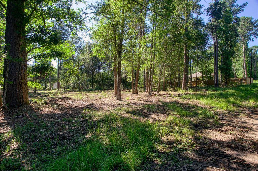 Montgomery, TX 77356,TBD LOT 60 Chestnut DR