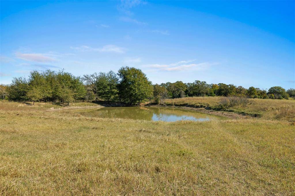 Franklin, TX 77856,10.5 AC Farm to Market 1940