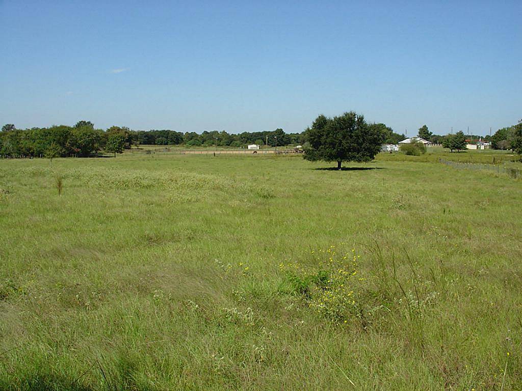 Hockley, TX 77447,000 Yellow Bird RD