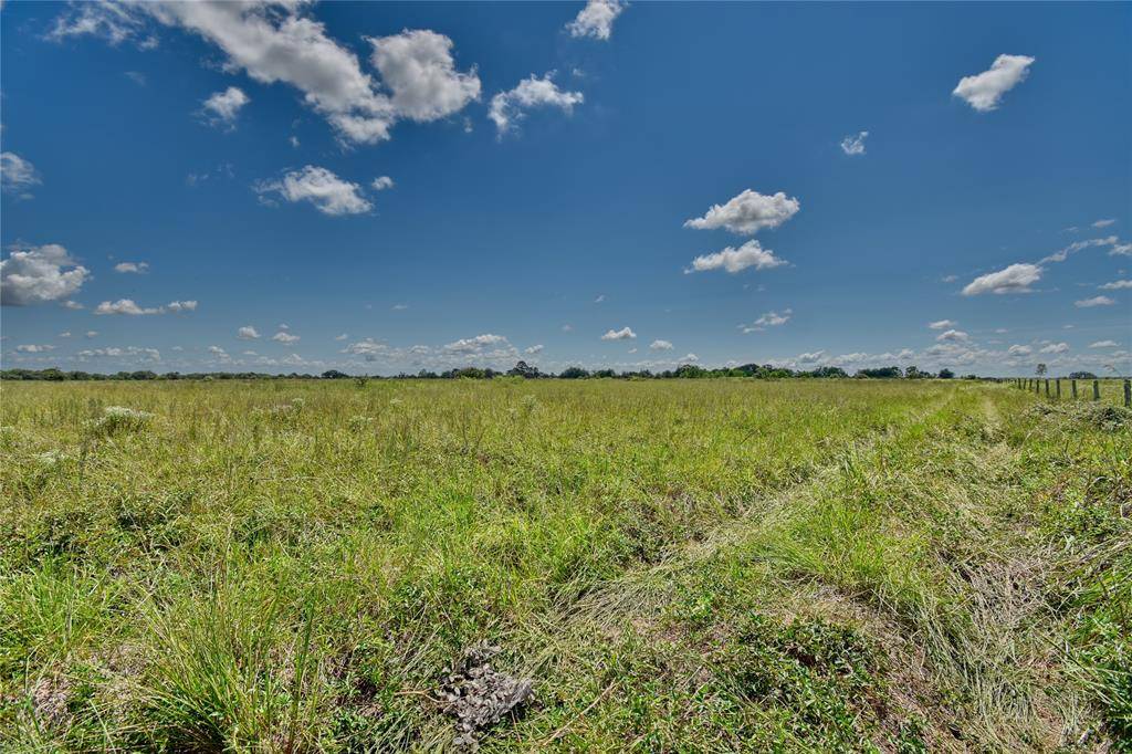 Rock Island, TX 77470,TBD Tract 2 County Road 106