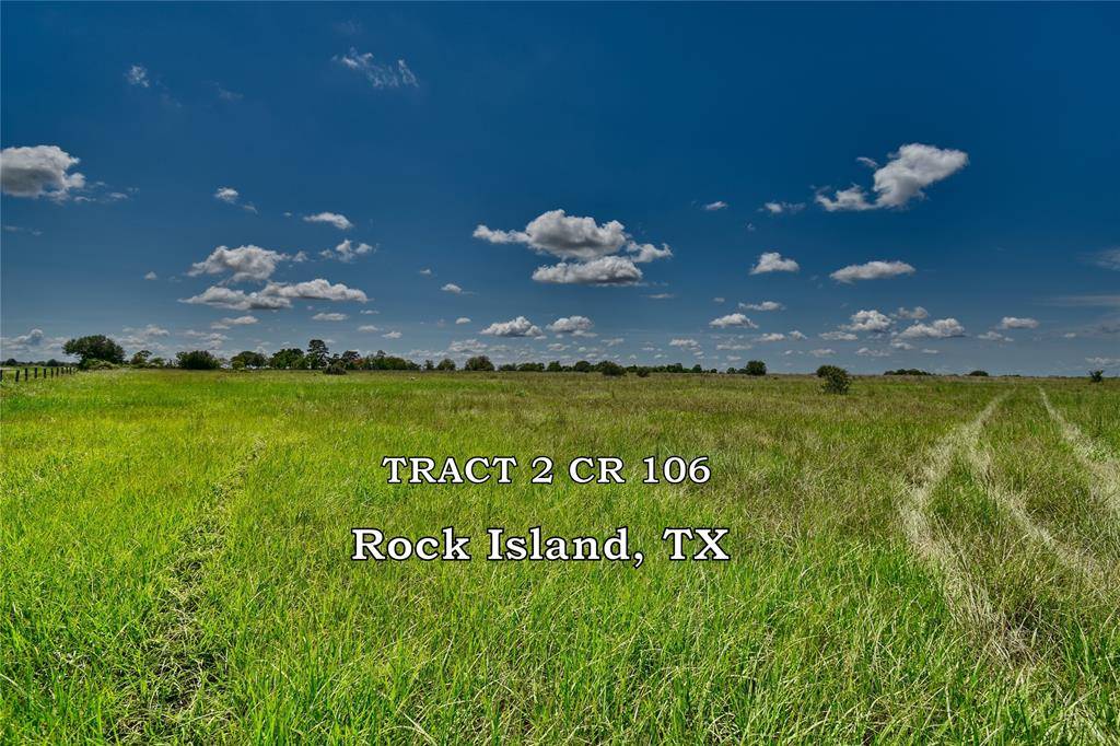 Rock Island, TX 77470,TBD Tract 2 County Road 106