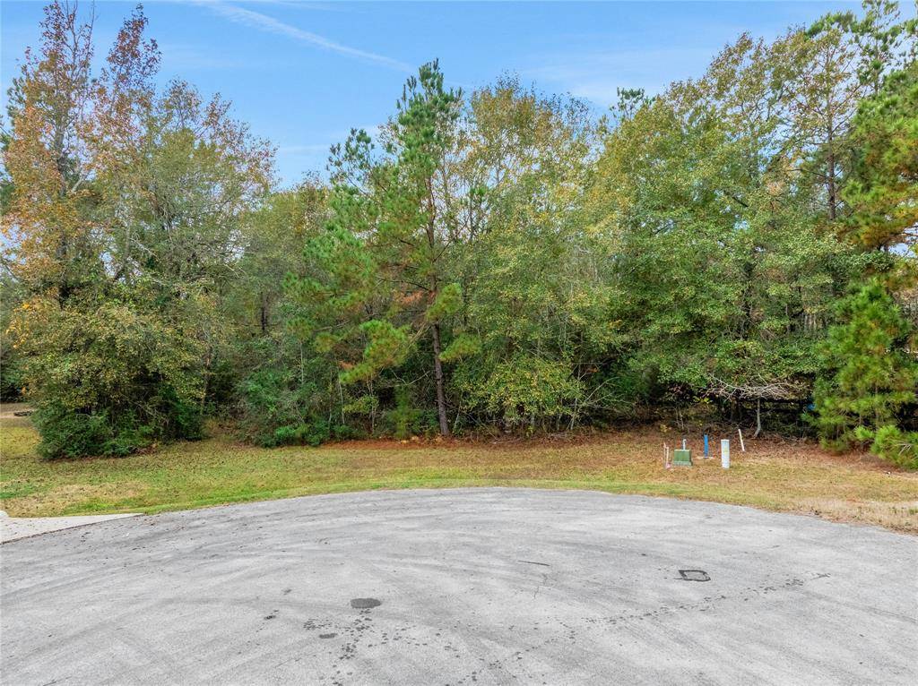 Montgomery, TX 77316,26131 Upper Beacon PL