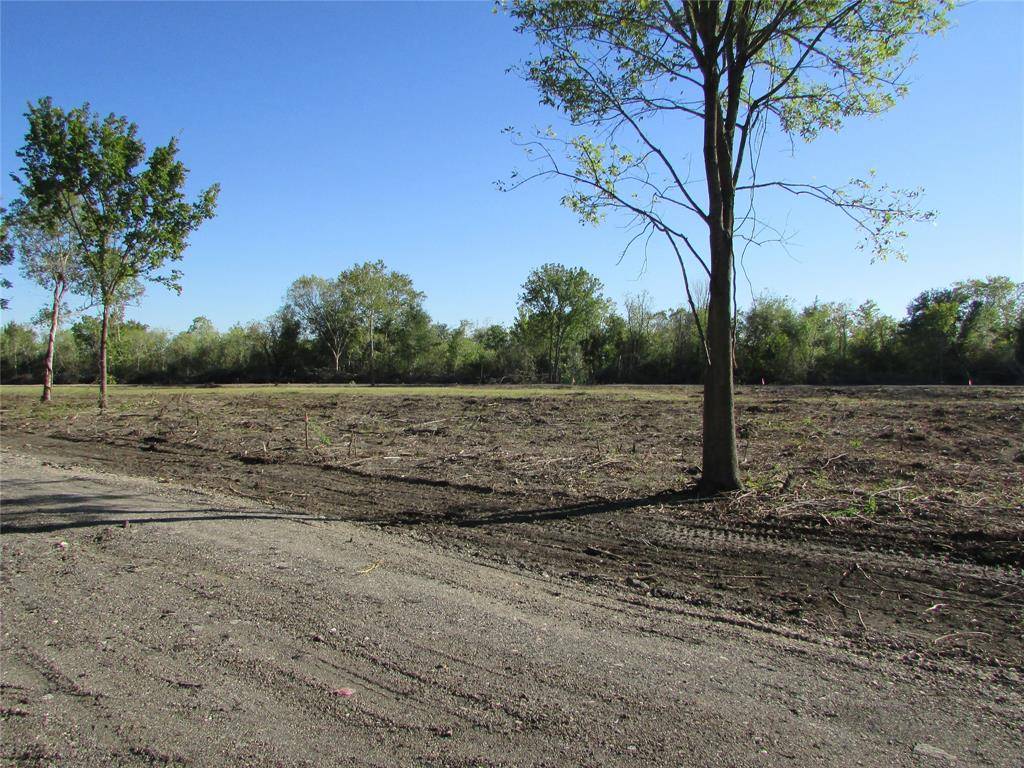 Rosharon, TX 77583,0000 (Lot 69) Trufle Rue ST