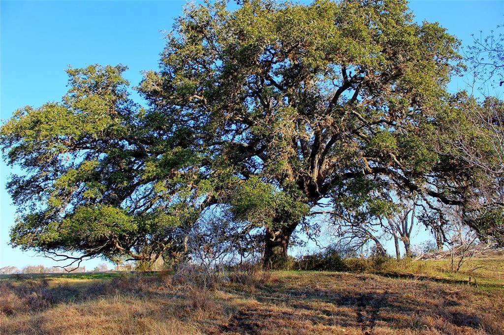 Weimar, TX 78962,TBD County Road 244