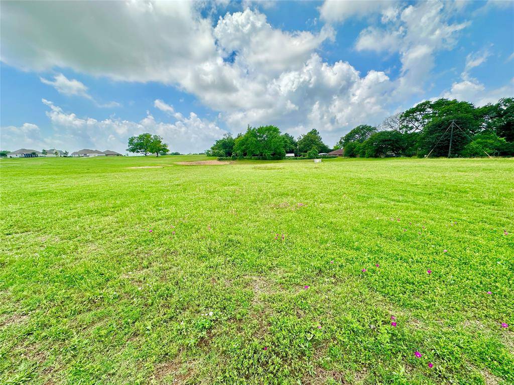 Brenham, TX 77833,2406 Oak Hollow LN