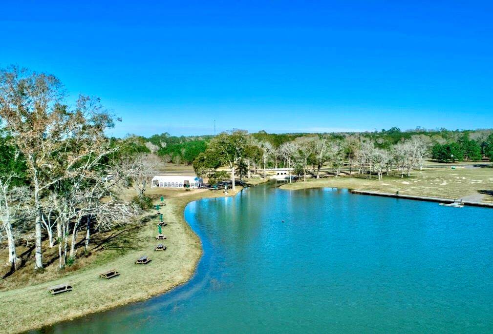 Willis, TX 77378,12050 High Branch Way