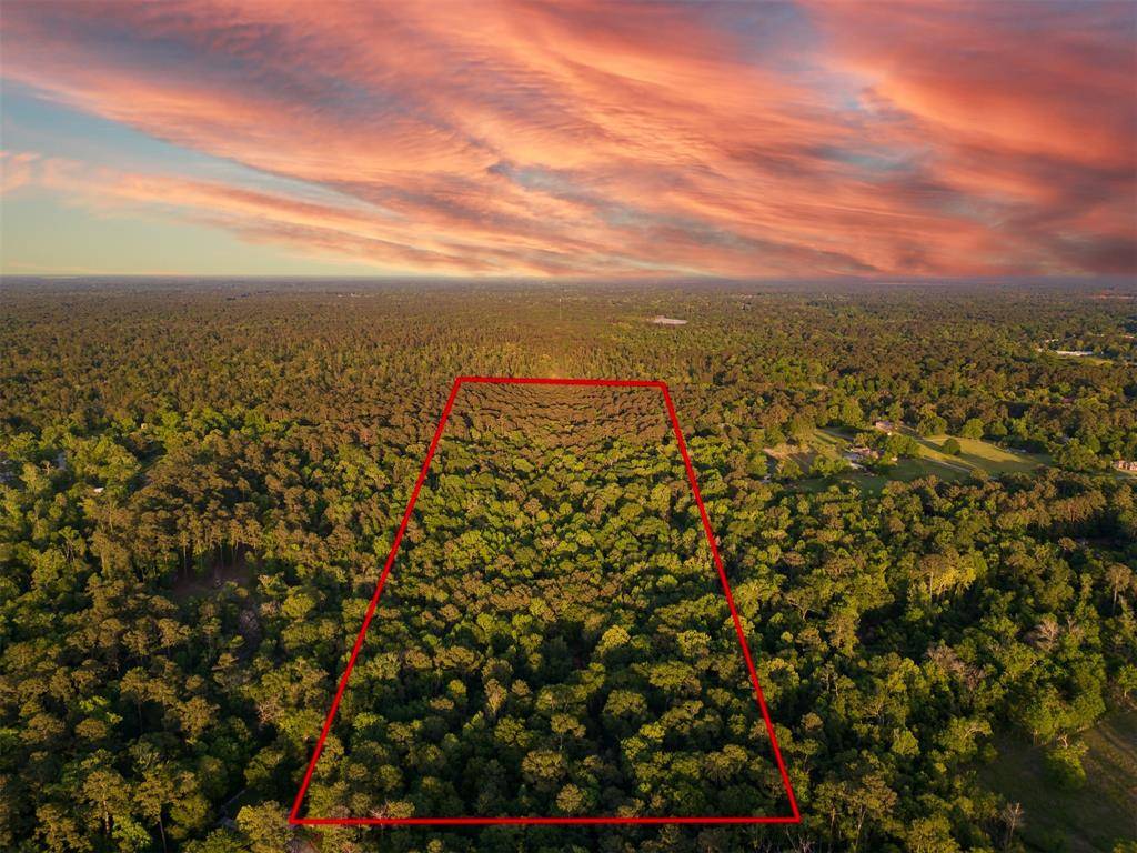Conroe, TX 77302,0 Fawn Trail