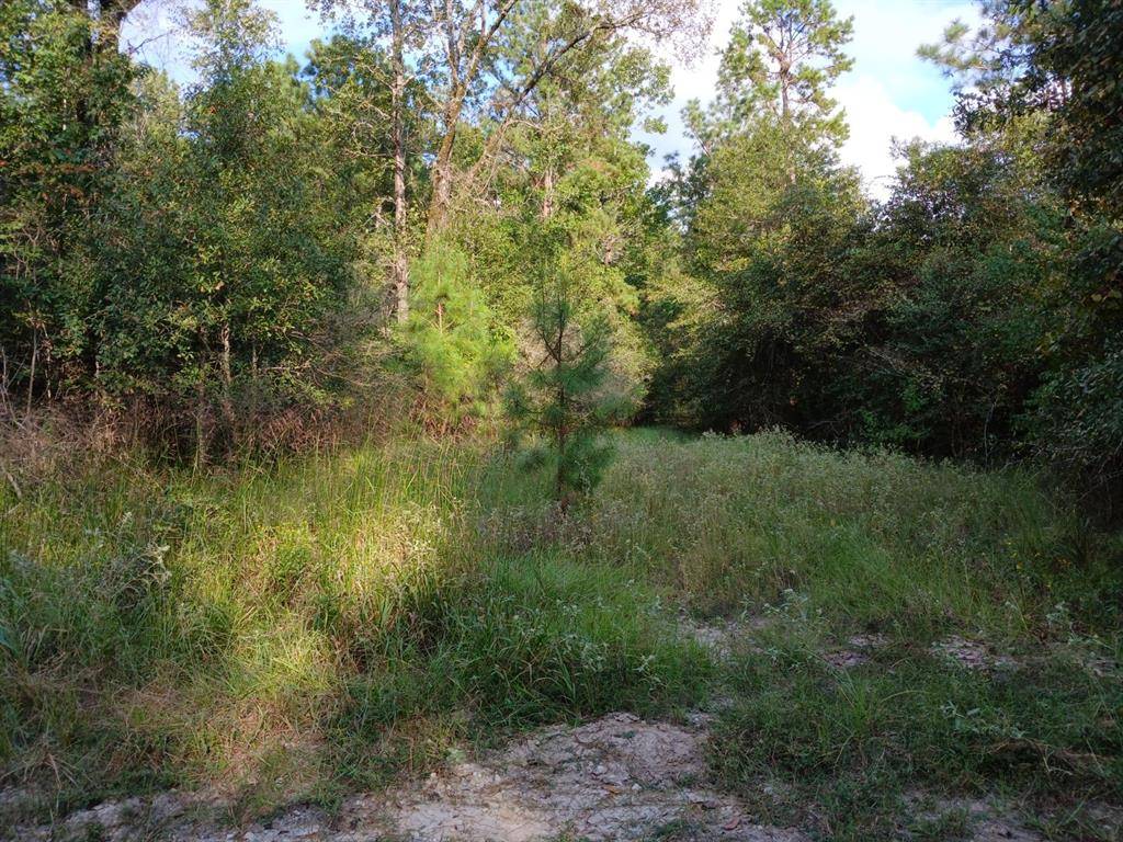 Groveton, TX 75845,111 Bill Jones RD