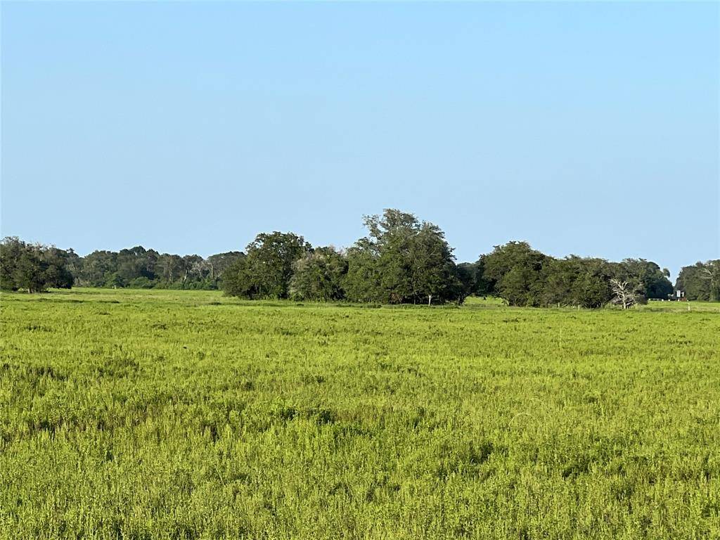 El Campo, TX 77437,00 County Road 396