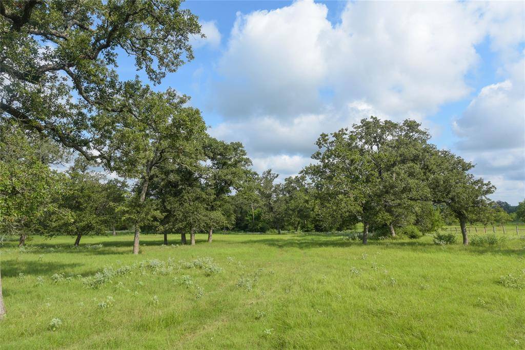 Caldwell, TX 77836,TBD County Road 315 - 6 ac