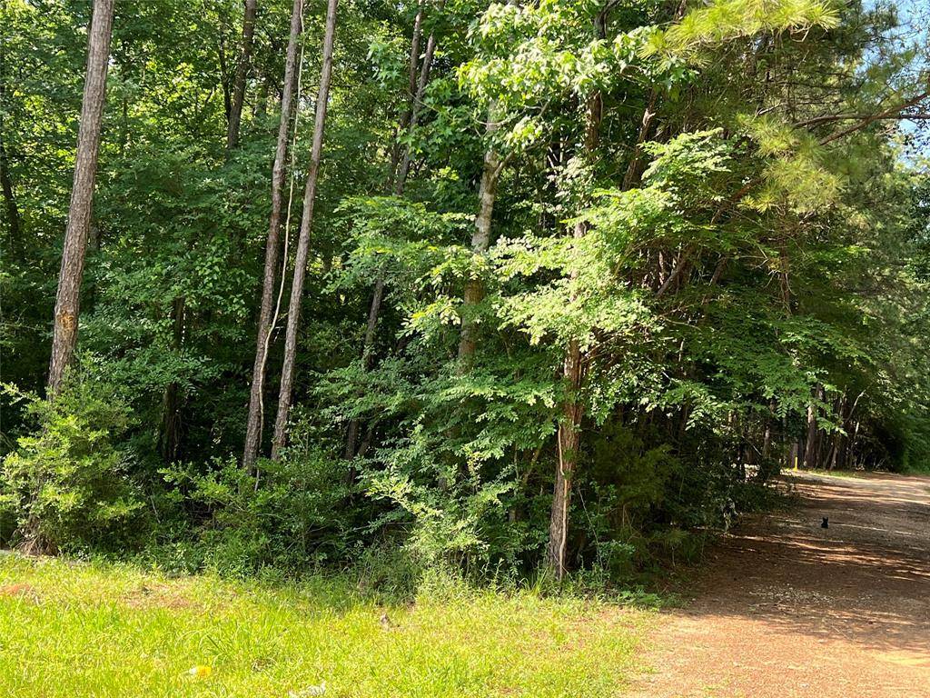 Plantersville, TX 77363,0 Hollybrook Dr DR