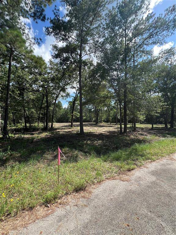 Plantersville, TX 77363,TBD Lot 2 Deerwood DR