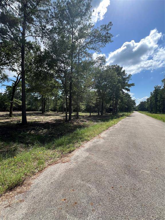 Plantersville, TX 77363,TBD Lot 2 Deerwood DR