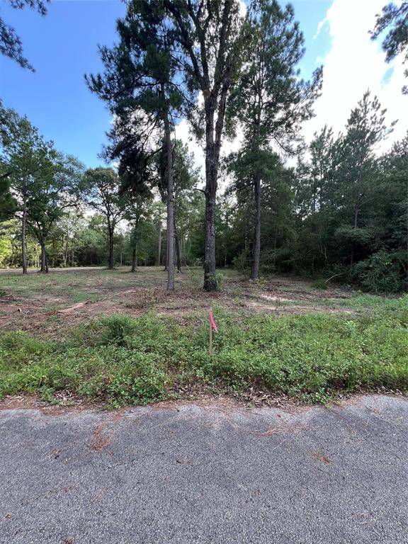 Plantersville, TX 77363,TBD Lot 2 Deerwood DR