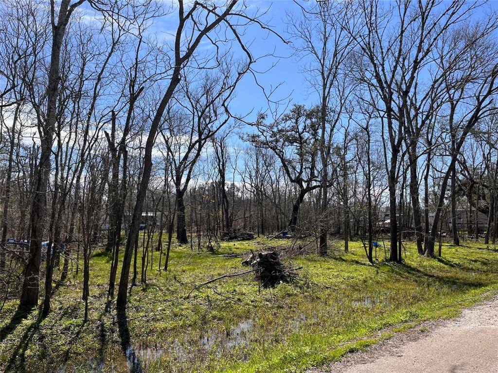 Holiday Lakes, TX 77515,TBD Penguin LN