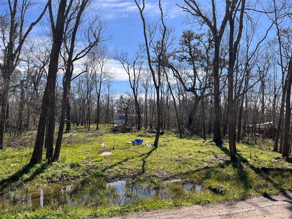 Holiday Lakes, TX 77515,TBD Penguin LN
