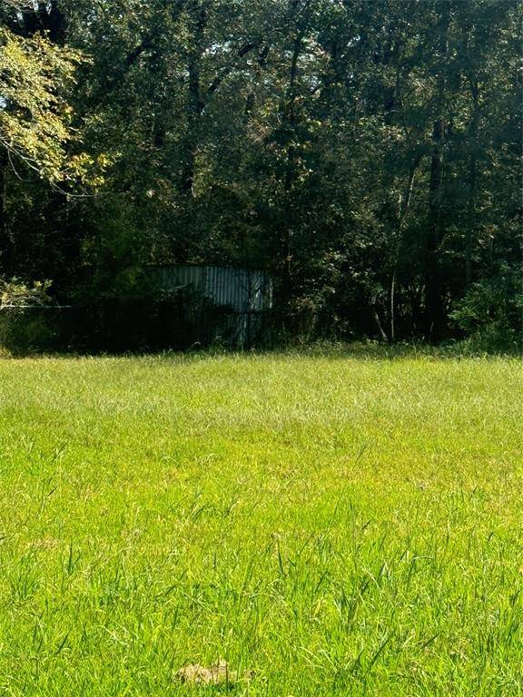 Willis, TX 77378,TBD Lot 15,16 Frontier Rd