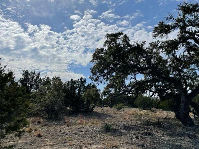 Round Mountain, TX 78663,2078 W Ranch Road 962 LOT 2