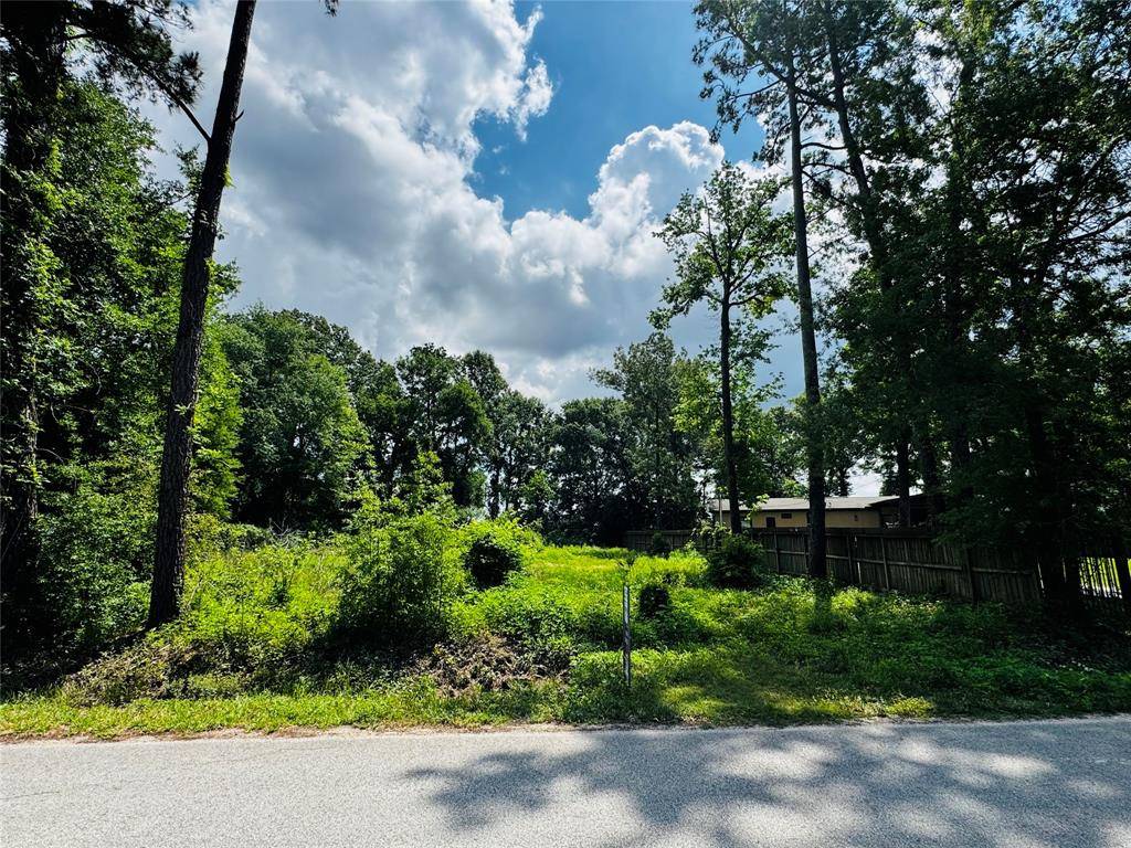 Porter, TX 77365,0 E Terrace DR