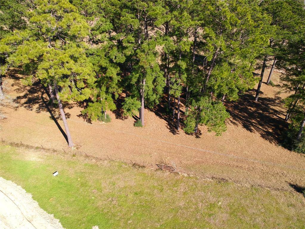 Hillister, TX 77624,TBD Lakeland Ranch Lot 378