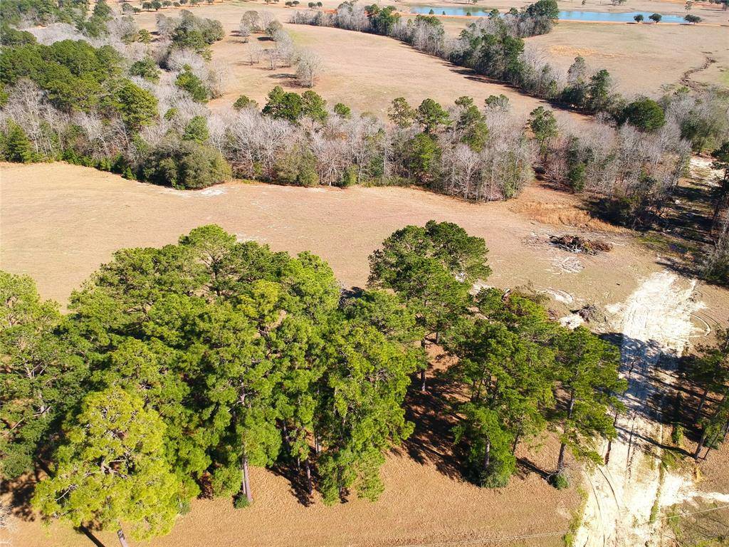 Hillister, TX 77624,TBD Lakeland Ranch Lot 378