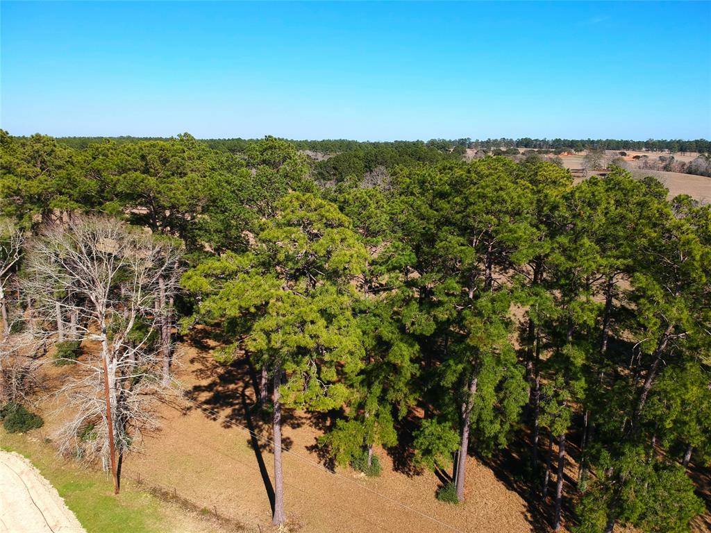 Hillister, TX 77624,TBD Lakeland Ranch Lot 378