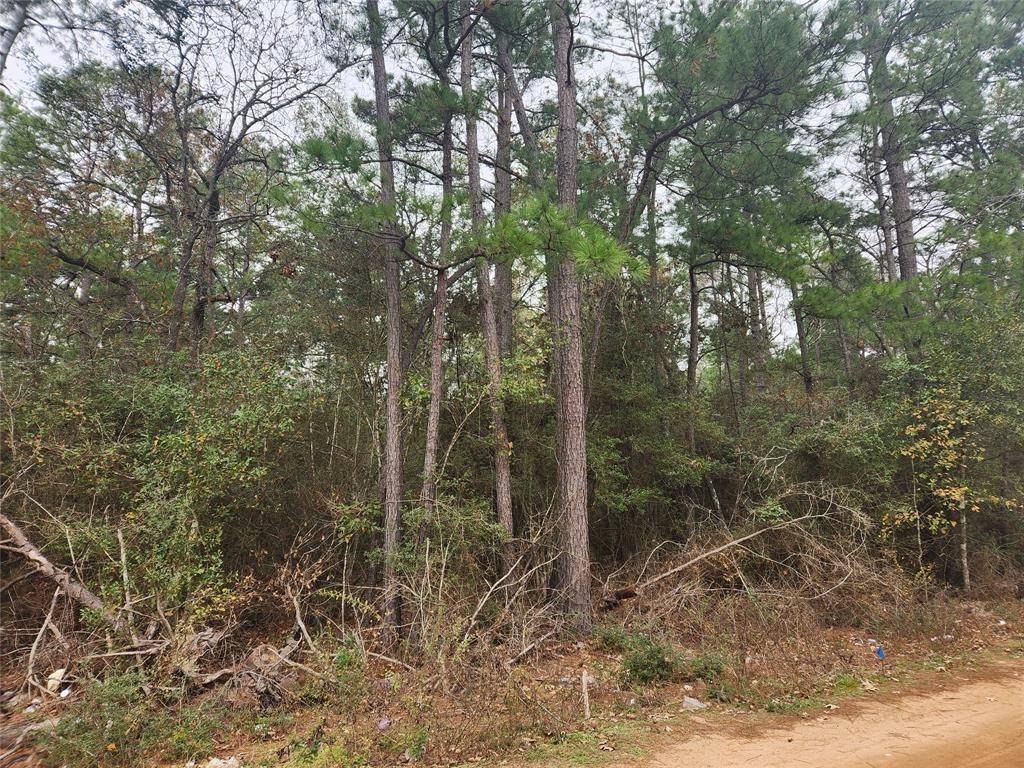 Plantersville, TX 77363,Lot 38 White Oak DR