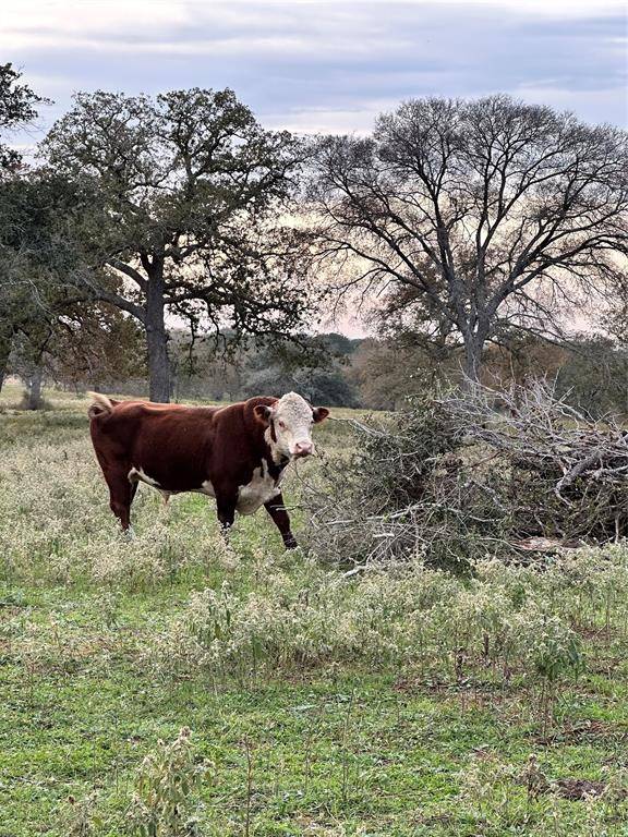 Waelder, TX 78959,TBD E US Hwy 90