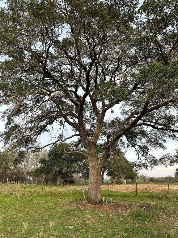 Waelder, TX 78959,TBD E US Hwy 90