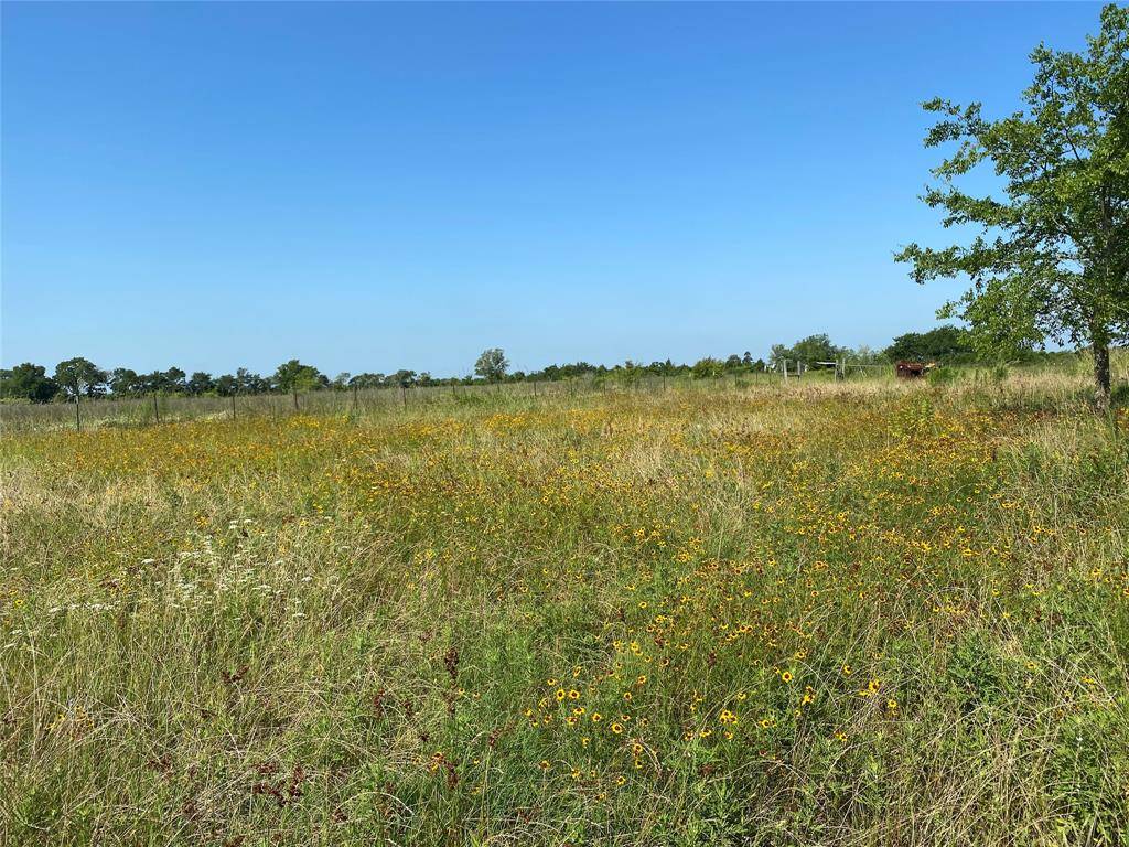 Pennington, TX 75856,TBD CR 4575