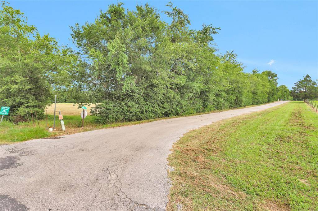 New Waverly, TX 77358,TBD Marion Lane