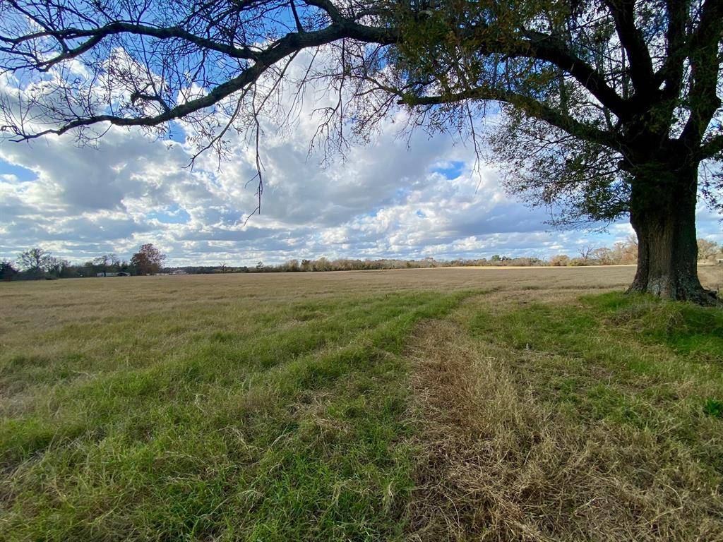 Crockett, TX 75835,T B D CR 3095/Cooper Settlement Road