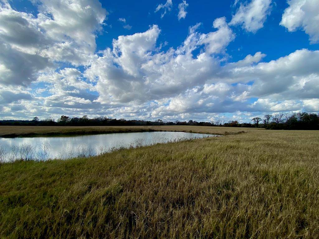 Crockett, TX 75835,T B D CR 3095/Cooper Settlement Road