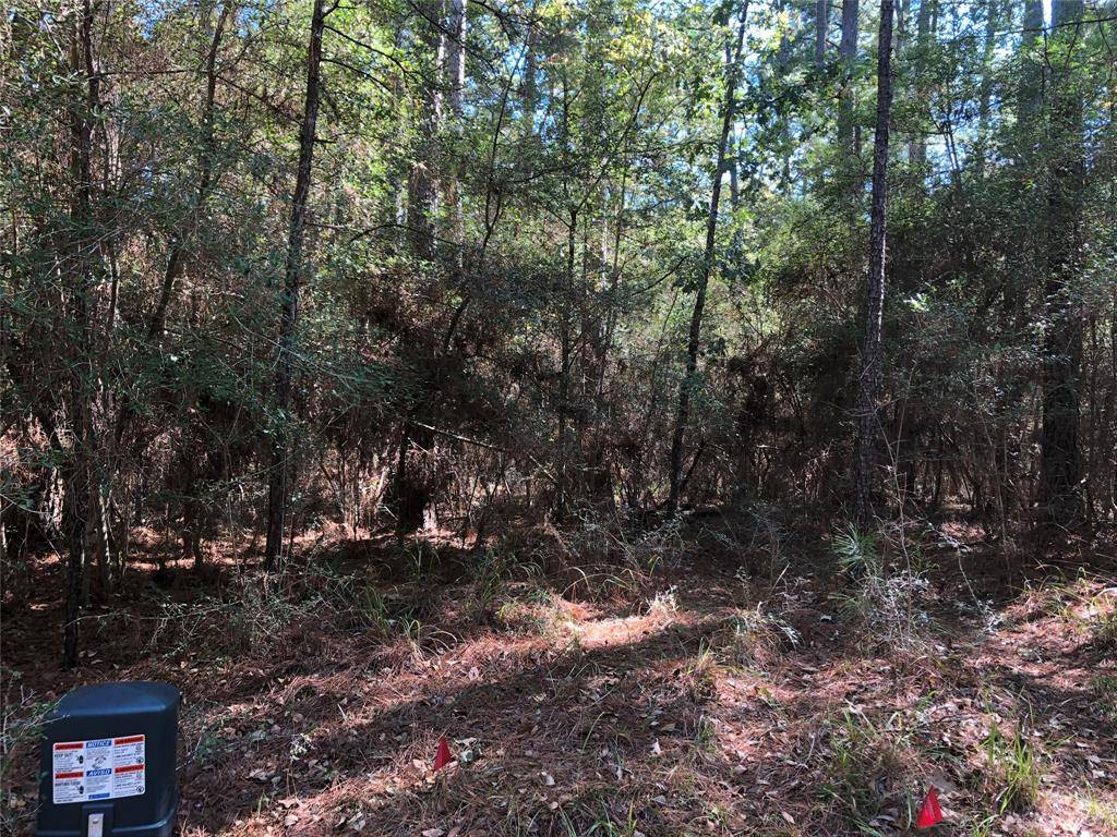 Huntsville, TX 77320,Lot 9 Rohm PL