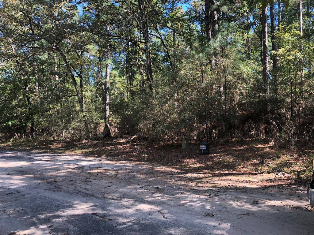 Huntsville, TX 77320,Lot 9 Rohm PL