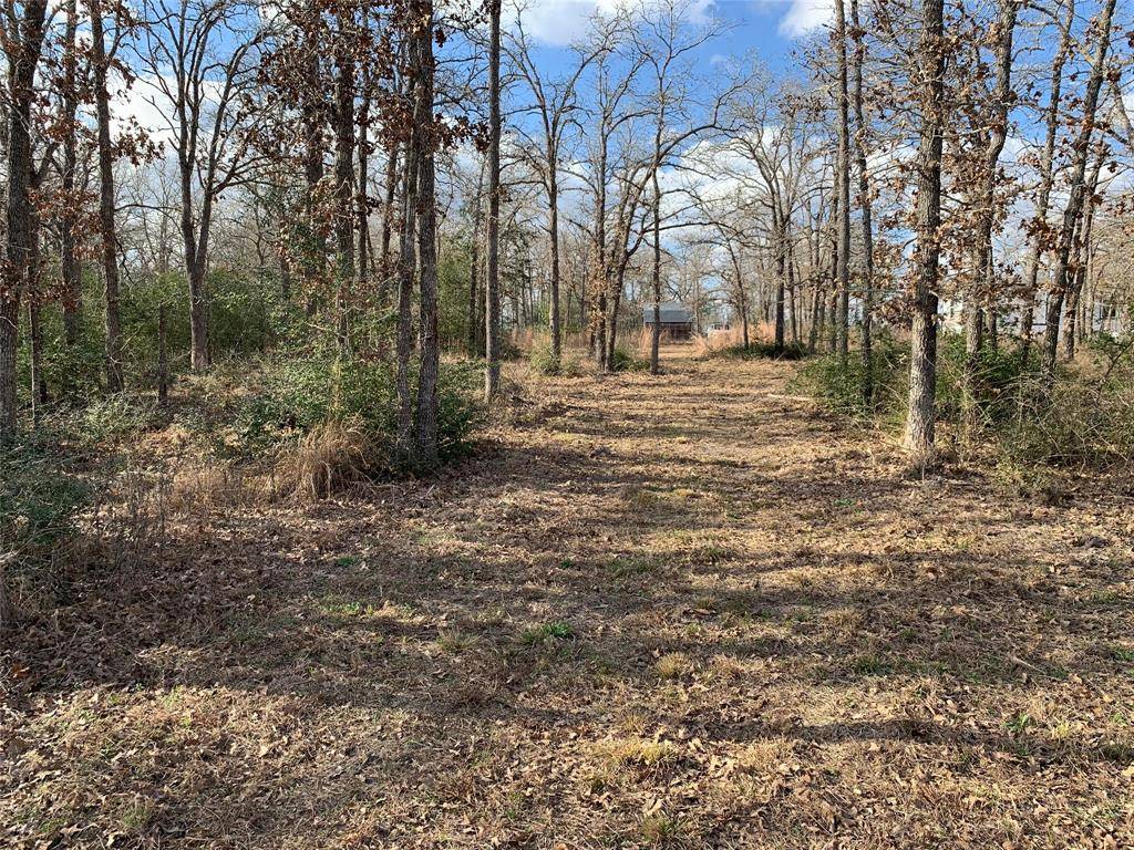 Caldwell, TX 77836,1505 Pin Tail CV