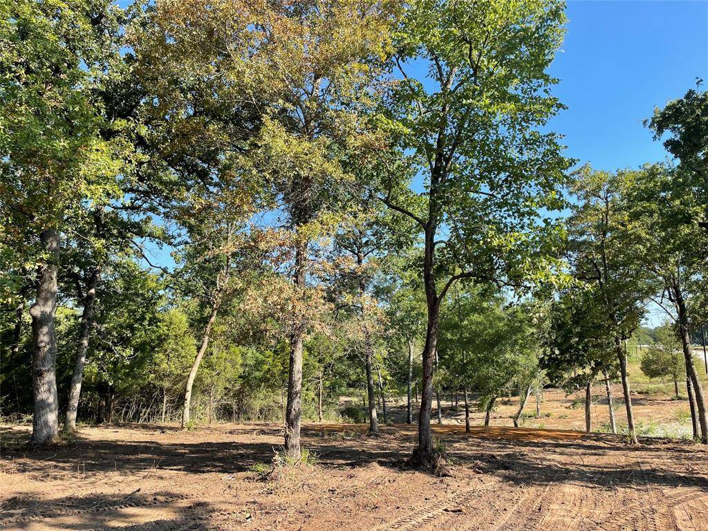 Jewett, TX 75846,TBD Lot 27 10ac+- TIMBERCREST RANCH