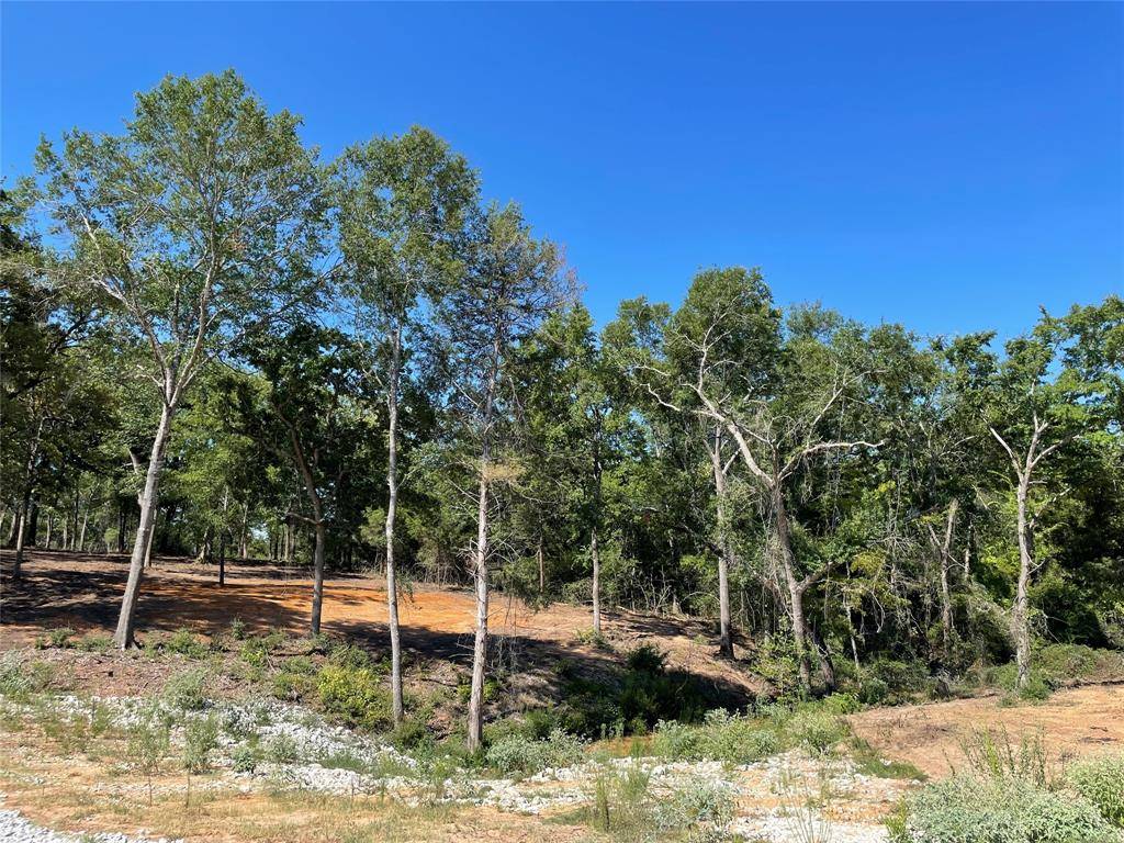 Jewett, TX 75846,TBD Lot 27 10ac+- TIMBERCREST RANCH