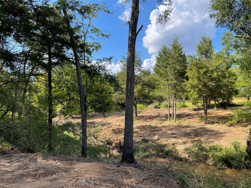 Jewett, TX 75846,TBD Lot 27 10ac+- TIMBERCREST RANCH