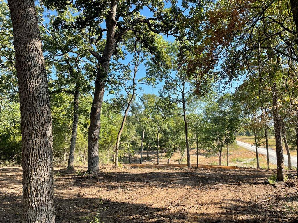 Jewett, TX 75846,TBD Lot 27 10ac+- TIMBERCREST RANCH