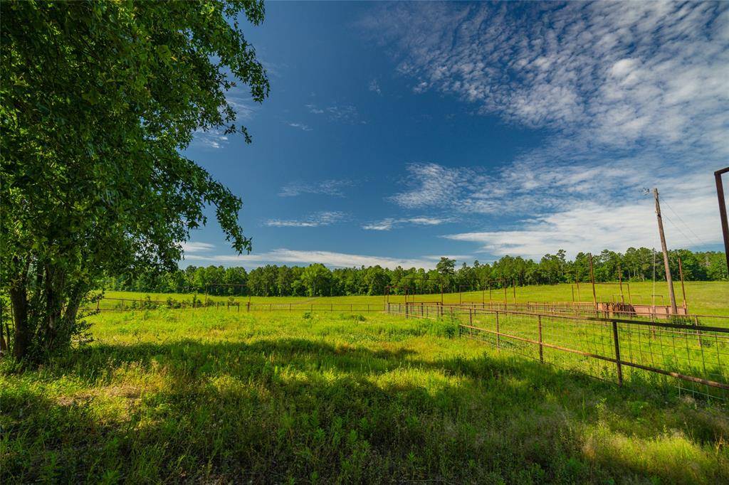 Henderson, TX 75667,0 CR 451D