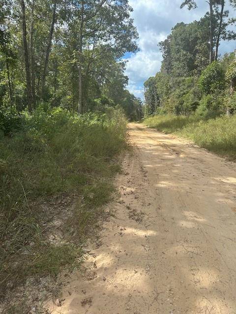 Livingston, TX 77351,LOT 64 N George Jones RD